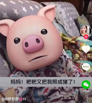 抖音猪猪特效在哪里？教你如何轻松打造爆款视频