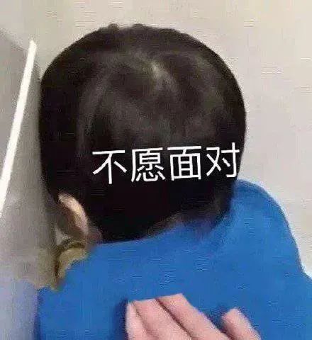 抖音狗去哪里喂？带你探索宠物喂养新趋势！