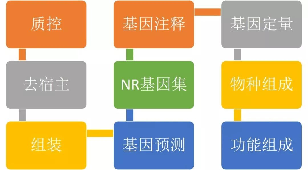 如何刷车辆播放协议,提升车主体验的最佳方案