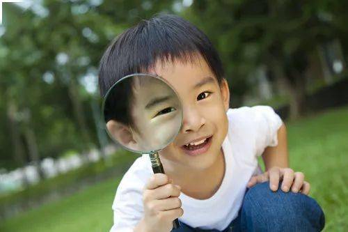 如何通过视频快速涨粉丝？掌握这几点，让你轻松实现！