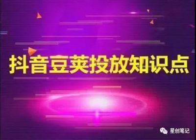 投豆荚多久涨粉丝最多?揭秘最有效的涨粉技巧