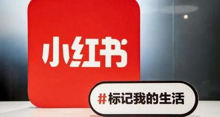 一个粉丝多久能涨上去？揭秘如何快速增加你的社交媒体粉丝数