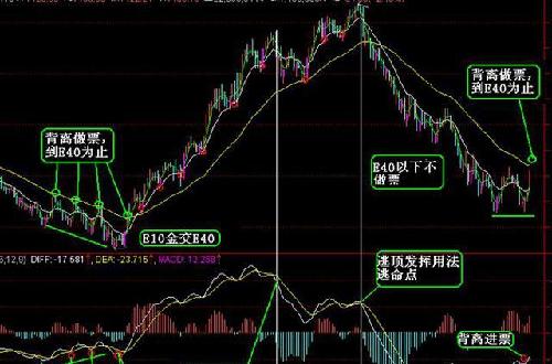 30天实战指南｜从0到1000精准粉丝的裂变式增长路径