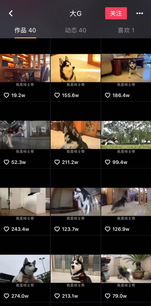 零粉丝也能玩转抖音小店?揭秘新手冷启动的黄金法则