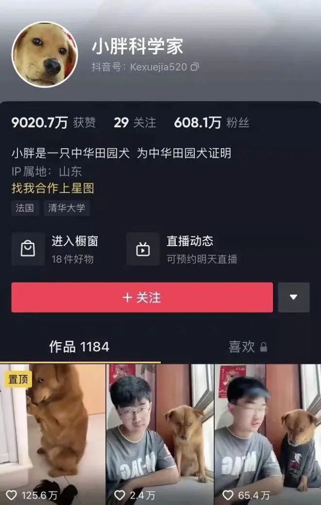 30天粉丝破万!抖音运营的流量密码全解析