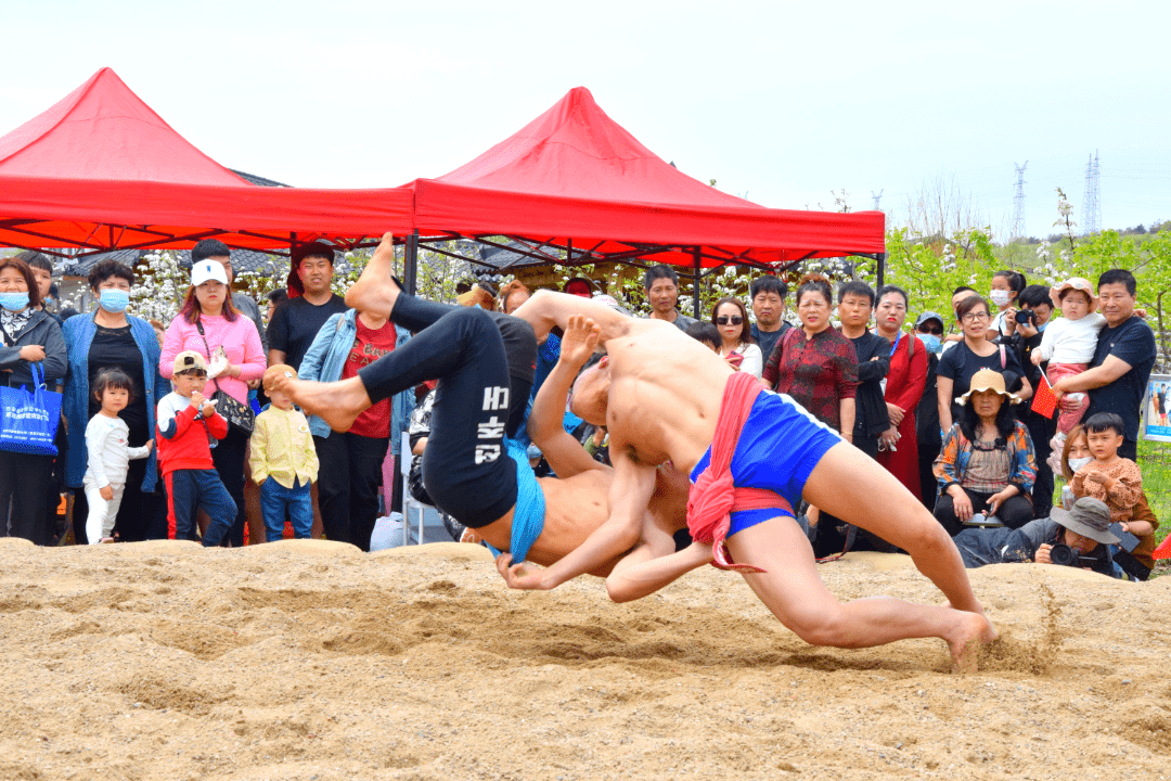 抖音粉丝破万实战手册|普通人也能用的流量密码