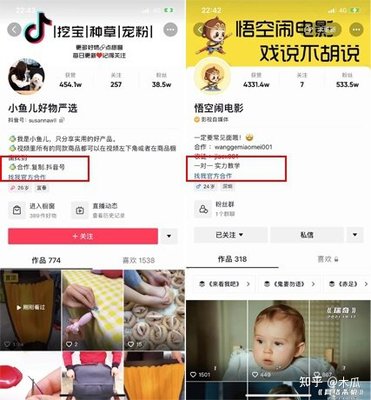 抖音粉丝量决定收入?揭秘1000粉到100万粉的变现密码