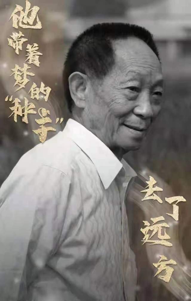 抖音千万粉丝背后：数据泡沫与真实流量的博弈