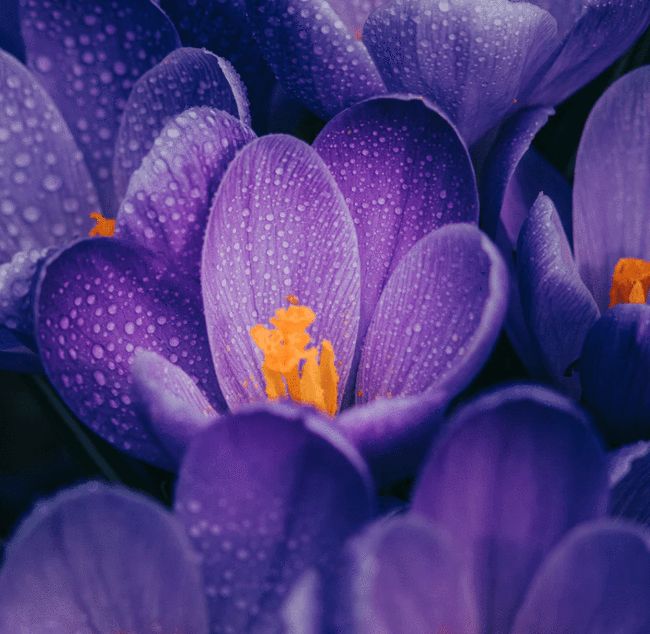 抖音涨粉遇瓶颈？揭秘每日粉丝上限的底层逻辑与破局法则