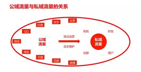抖音流量密码全解析｜从0到百万曝光的爆款运营法则