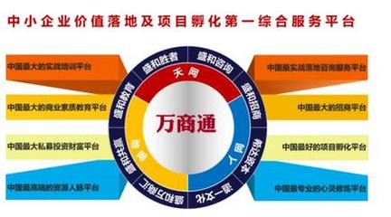 2023年企业推广必看！四大平台实战效果深度解析