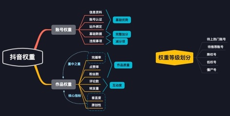 账号权重背后的数字密码:从算法逻辑到实战拆解
