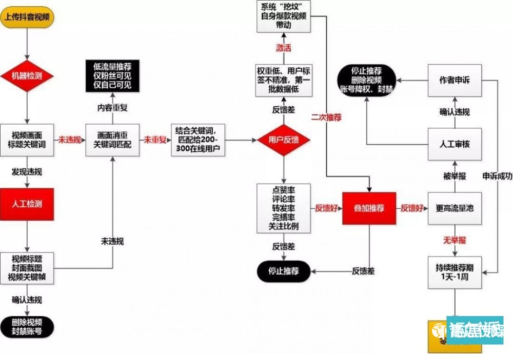 抖音完播率全解析:数据背后的流量密码