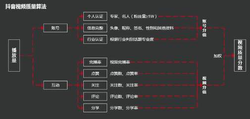 抖音完播率全解析:数据背后的流量密码