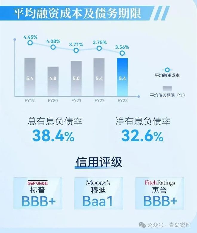网站自然流量暴增的底层逻辑与实战拆解