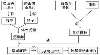 揭秘自然流量暴增的底层逻辑——从算法漏洞到用户心理的全维度拆解