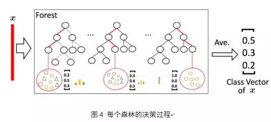 揭秘自然流量暴增的底层逻辑——从算法漏洞到用户心理的全维度拆解