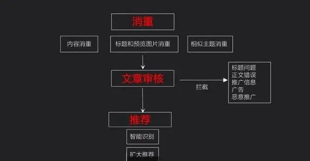 视频号如何成功过渡给机构运营?解锁高效管理新模式