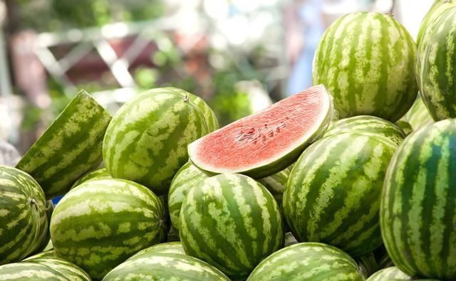 新西兰怎么种西瓜视频——高效农业带来的甜美果实