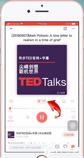 哔哩哔哩如何选字幕,提升观看体验的终极攻略