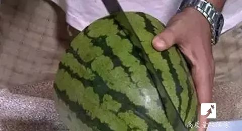 用西瓜籽怎么种西瓜视频：从播种到丰收的全过程