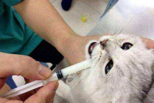 如何轻松注销B站账号?详细步骤和注意事项