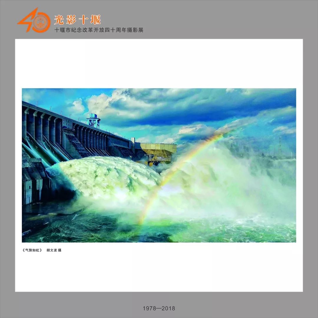 如何关注哔哩哔哩作者号,享受优质内容不再错过