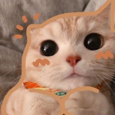 今日头条图标更新全攻略,让你的手机更时尚
