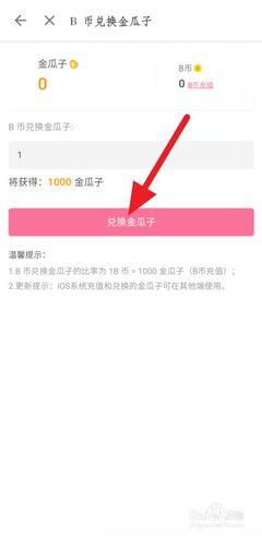 哔哩哔哩如何充金瓜子,轻松玩转B站直播